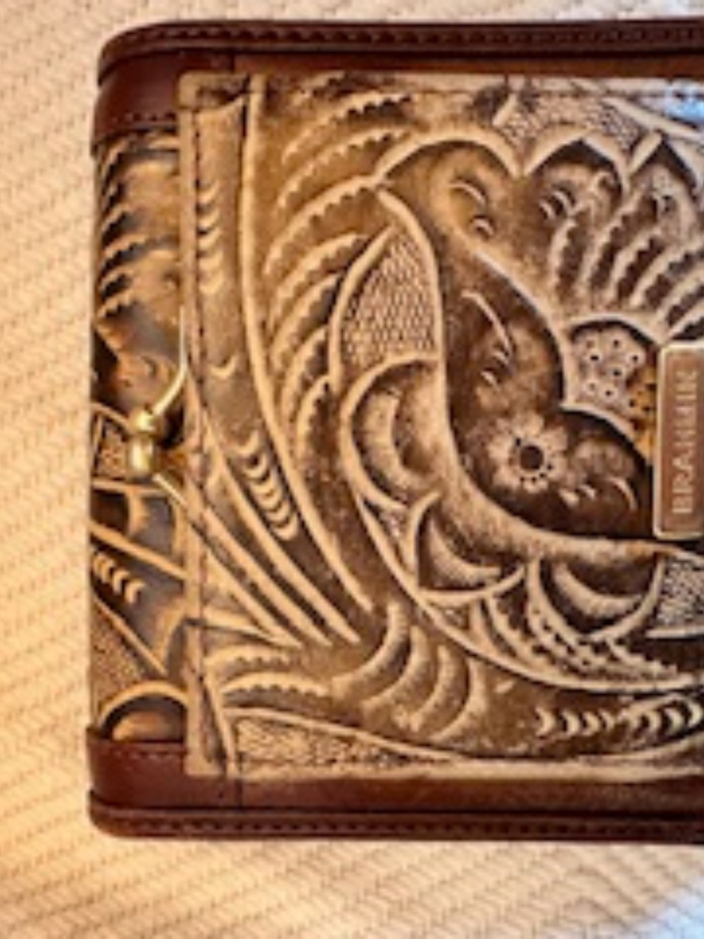 BRAHMIN - Picture 10 of 14